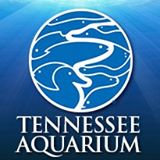 Tennessee Aquarium